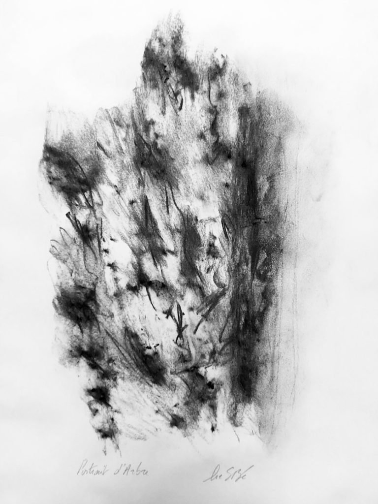portrait-d-arbre-4_SB